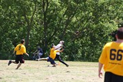 OTFL Gallery Image
